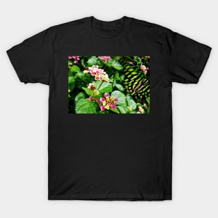 Tailed Jay (Graphium agamemnon) Flying Away T-Shirt